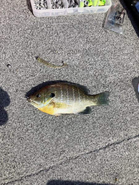 迷走台風後南湖