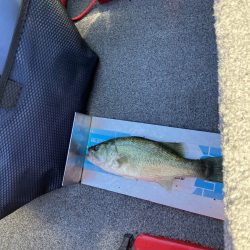 3連休最終日 秋バス