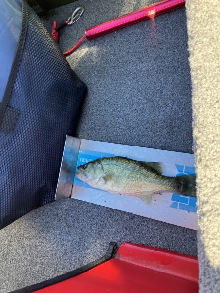 3連休最終日 秋バス