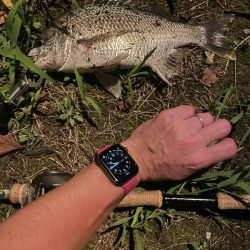 アーバンチニング⑥