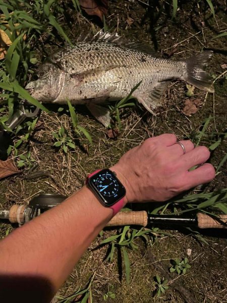 アーバンチニング⑥