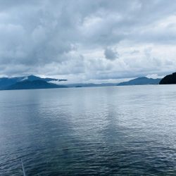 秋エギング開幕？