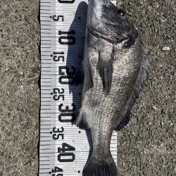 イチノ兄弟、釣果！