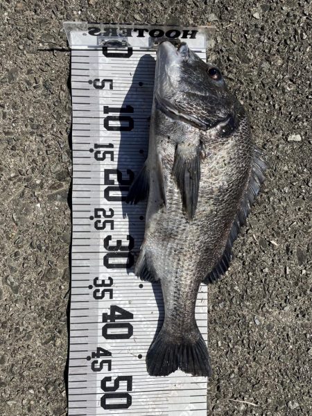 イチノ兄弟、釣果！