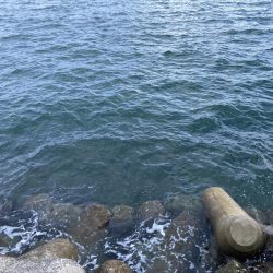 9ヶ月ぶりのご対面!