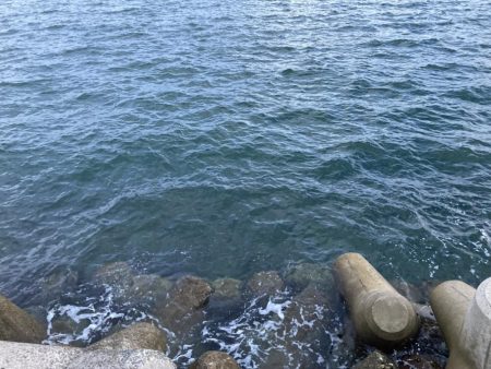 9ヶ月ぶりのご対面!