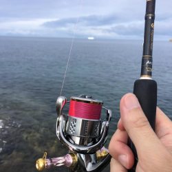 エギング　佐渡遠征①1日目