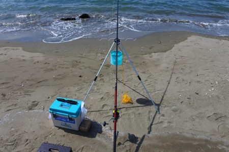 初秋のキス釣り