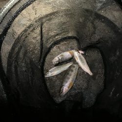 仕事終わりに滑り込み