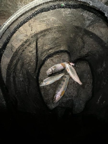 仕事終わりに滑り込み