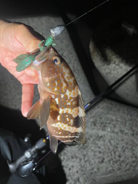 ライトロック楽しいぃ☺&#x…