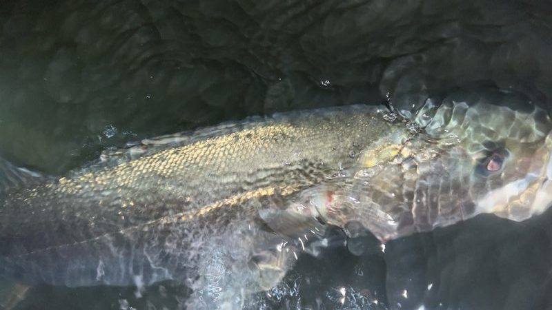 サスケ真裂波はいいぞ!