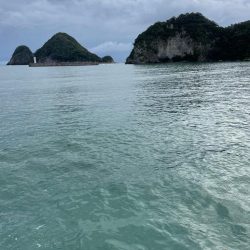 ライトショアジギング楽しい!