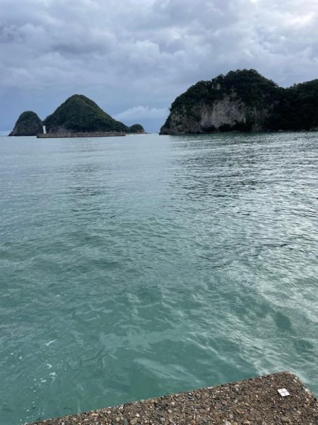 ライトショアジギング楽しい!