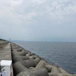 ミラクルツバス