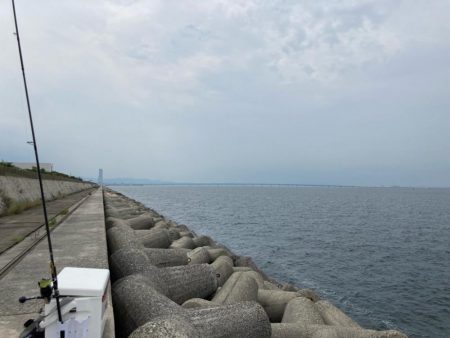 ミラクルツバス