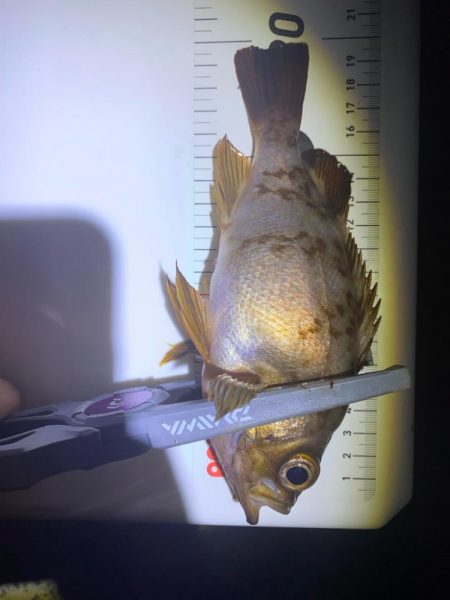 太陽が沈むまでは…