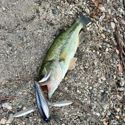 夕まずめ一本勝負🔥