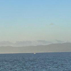 今年初タチウオ‼️