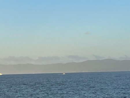 今年初タチウオ‼️