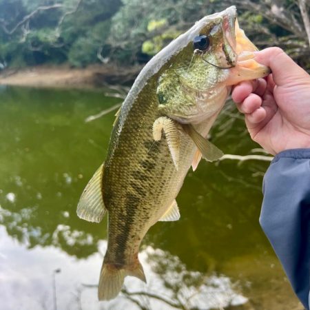 とっくに秋色🍂