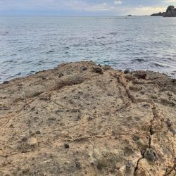 本格的にシーズンイン