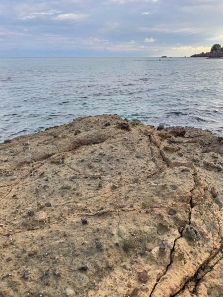 本格的にシーズンイン