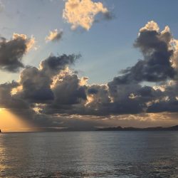 秋イカ食いたかったから!