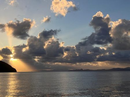 秋イカ食いたかったから!