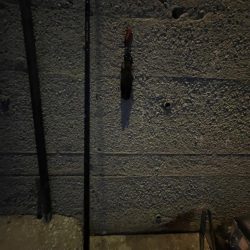 サバが釣れました〜‼️