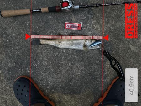 この時期特有のベイトパターンに合わせると無限バイトから怒涛の19キャッチ!