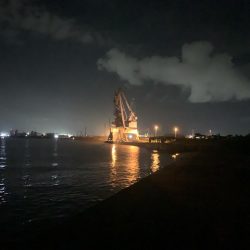 チヌトップはいつまで?