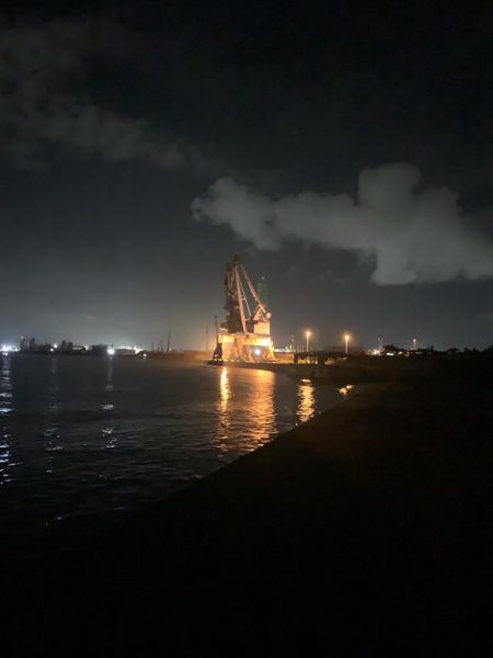 チヌトップはいつまで?