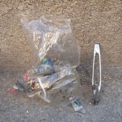 清掃活動：久々の水路