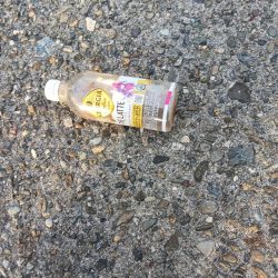 清掃活動：エギング好調