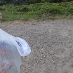 清掃活動：河川シーバス