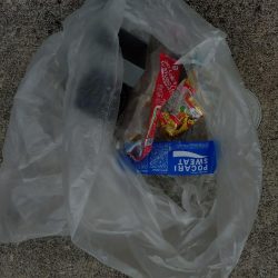 清掃活動：今年ラストのイカメタル便