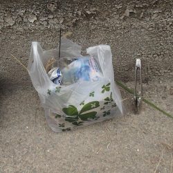 清掃活動：水路 三目