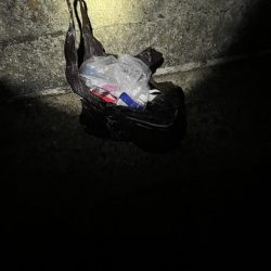 清掃活動：台風明け