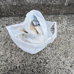 清掃活動：渋い日