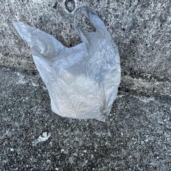 清掃活動：秋の気配