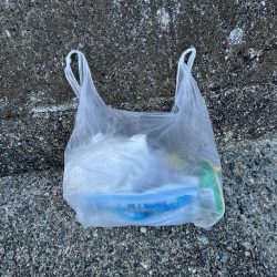 清掃活動：五目サビキならず