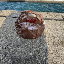 清掃活動：渋い、おせんの季節