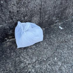 清掃活動：激渋