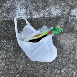 清掃活動：激渋②