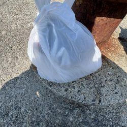 清掃活動：あじしか勝たん