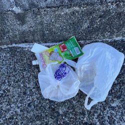 清掃活動：モジャ公