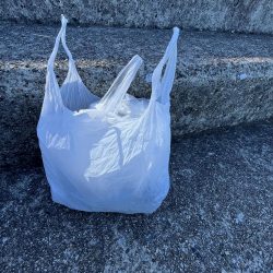 清掃活動：アジしか勝たん②