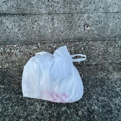 清掃活動：アジしか勝たん③