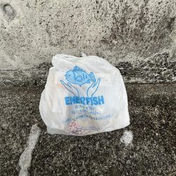 清掃活動：三連休2日目